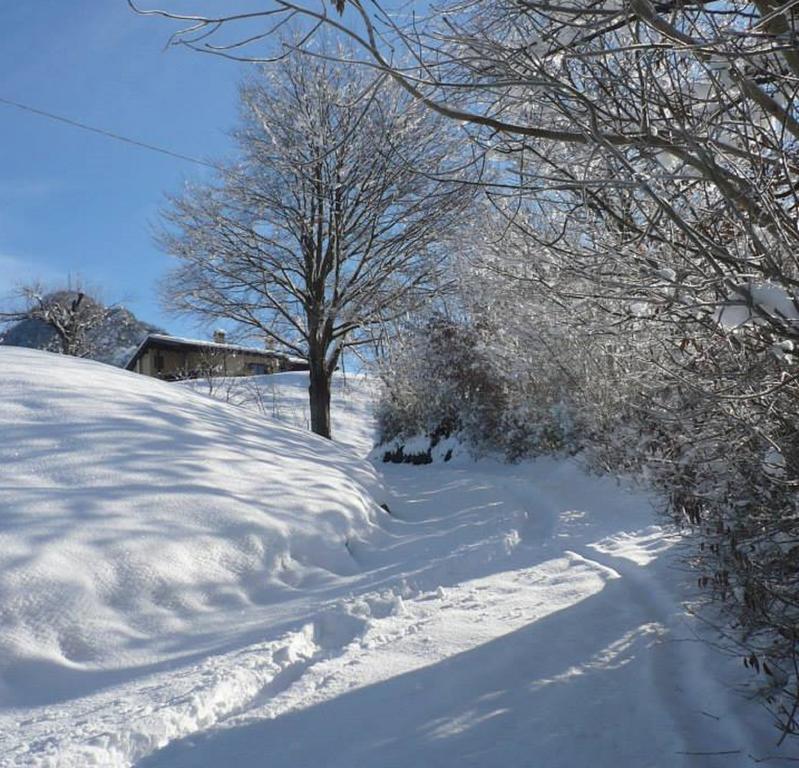 Agriturismo Il Mirtillo B,B Villa Pasturo Kültér fotó